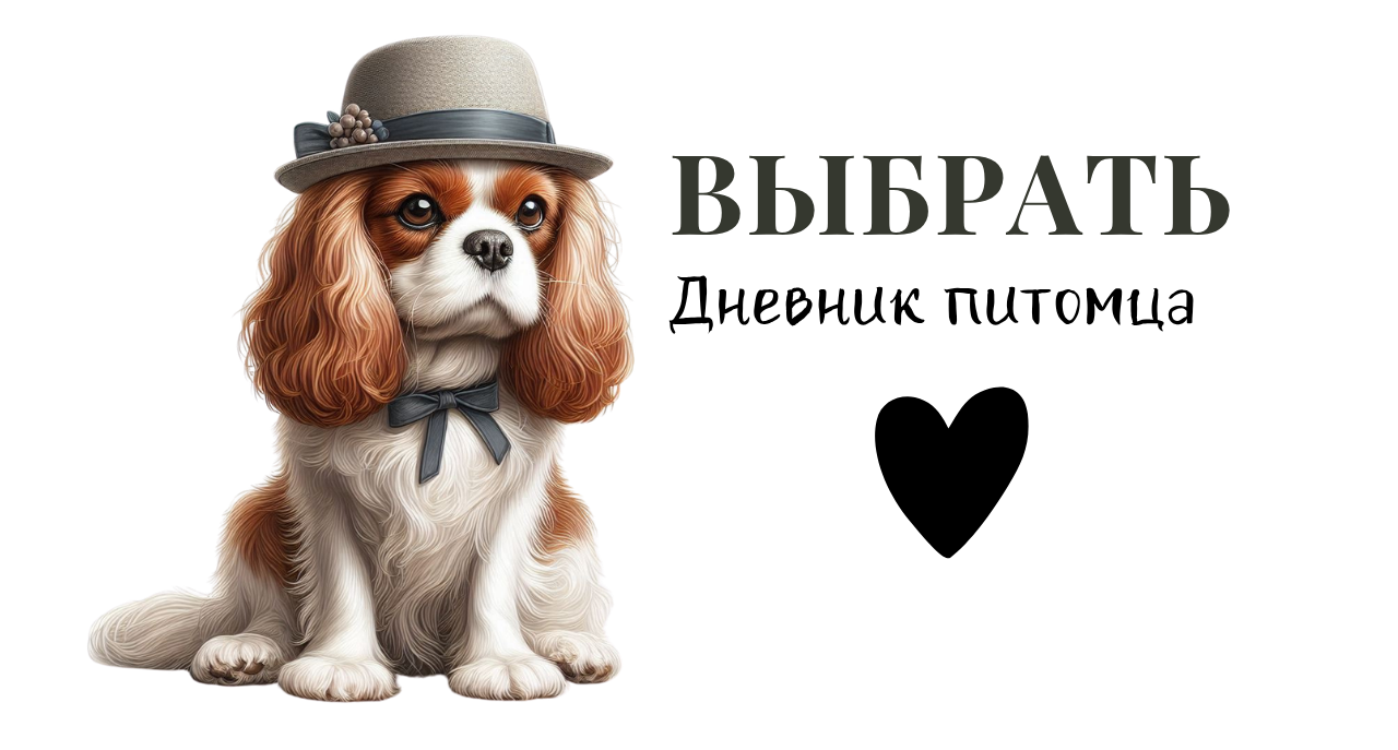 Описание